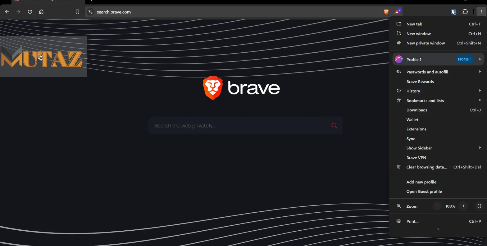 Brave Browser v1.66