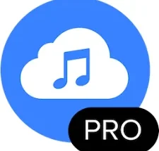 4K YouTube to MP3 Pro