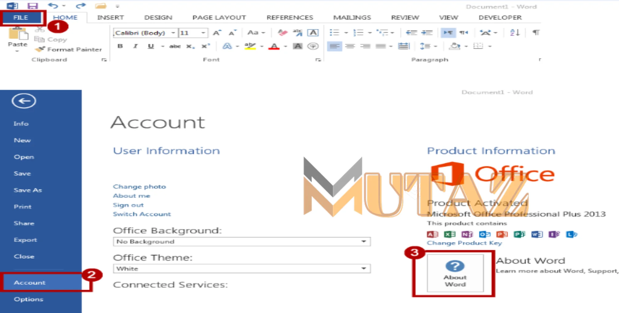 Microsoft Office 2013 Pro Plus Mutaz